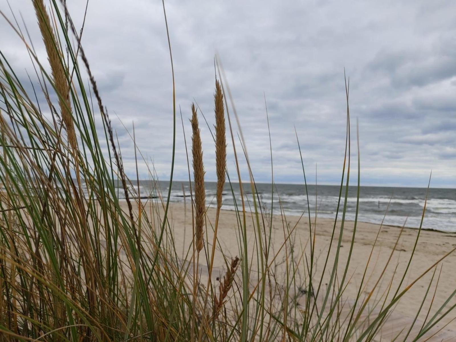 Ostsee Ferienhaus Usedom Hundefreundlich Familie Stopp Haus 22 Lutow Kültér fotó
